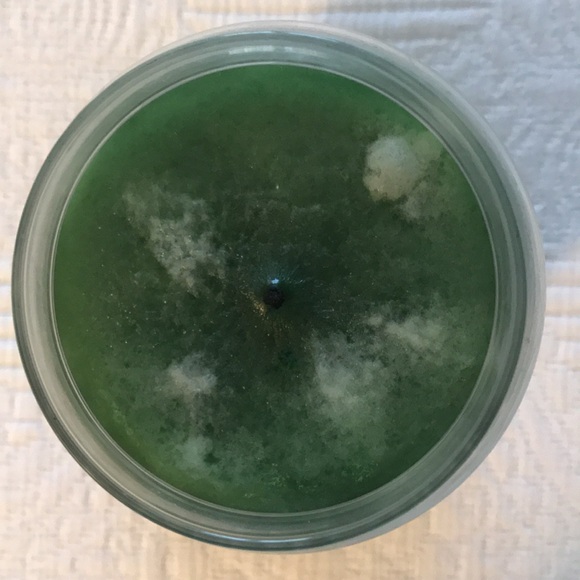 Discontinued Yankee Candle Greenhouse Scented Jar Candle 22 Oz Size - Picture 4 of 10